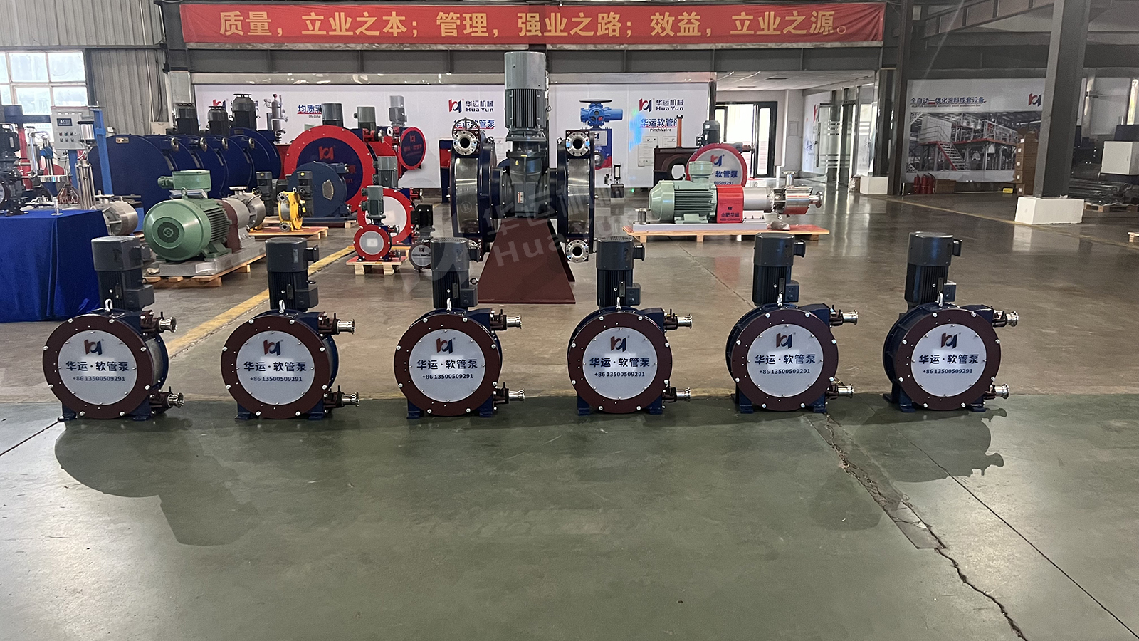 Huayun Hose Pumps Enable Efficient and Hygienic Enoki Mushroom Transfer